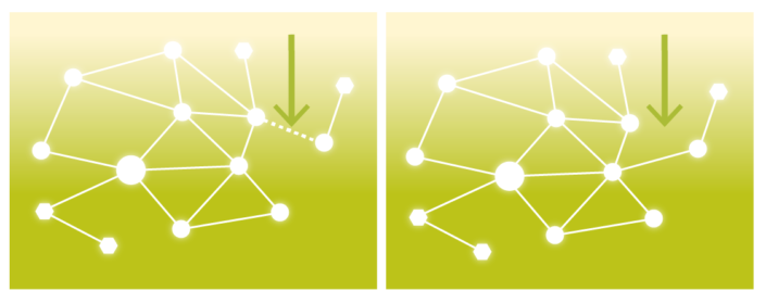 Wireless mesh networks: 4 things you need to know