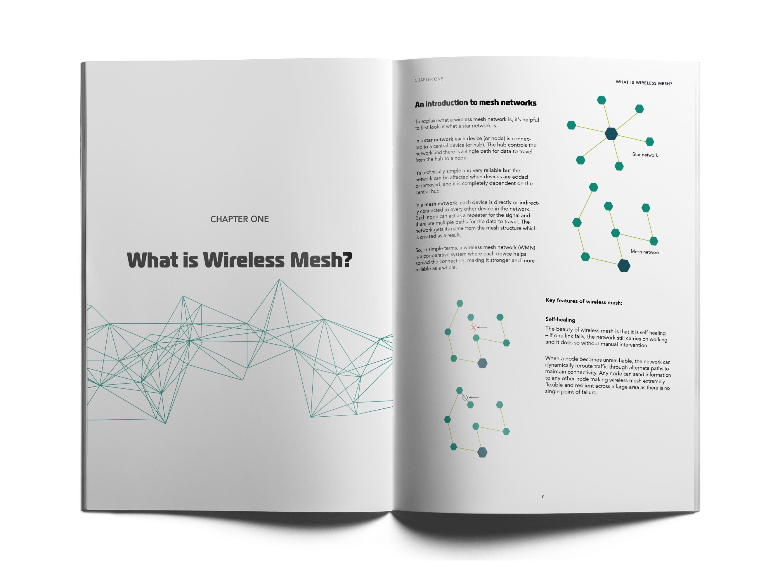 Wireless Mesh Decoded Picture