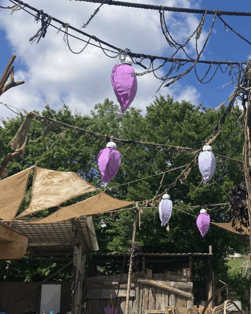 Purple lanterns hanging outdoors on ropes, with wooden structures and trees in the background under a blue sky.